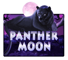Panther Moon Joker123 joker ฝาก 1 บาท ได้ 100