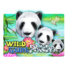 สล็อตโจ๊กเกอร์ Wild Giant Panda joker123 สล็อต 1234 Joker