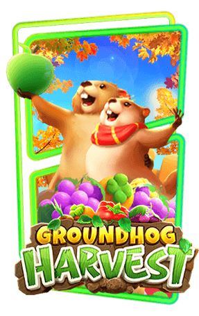 Groundhog Harvest ทางเข้า PG