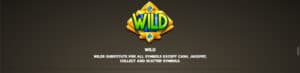 Chicago Gold สล็อตโจ๊กเกอร์ ดาวน์โหลด slotxo free credit