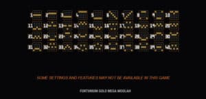 Fortunium Gold Mega Moolah สล็อตโจ๊กเกอร์ ดาวน์โหลด Joker2929