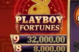 Playboy Fortunes สล็อตโจ๊กเกอร์ ดาวน์โหลด ดาวน์โหลด Jokerslot888