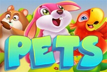 Pets สล็อต เว็บตรง ไม่ผ่านเอเย่นต์ ค่าย KA Gaming