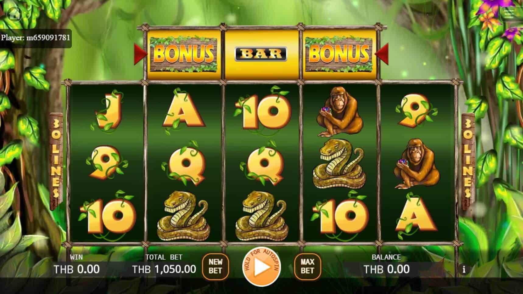 Jungle สล็อต เว็บตรง ไม่ผ่านเอเย่นต์ ค่าย KA Gaming joker123 ฟรีเครดิต