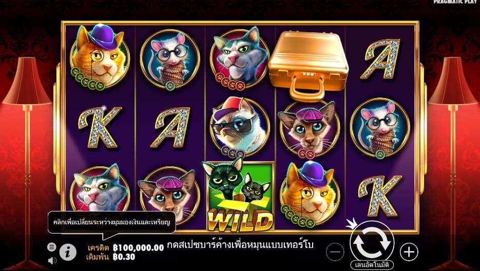 The Catfather Part II Pragmatic Play สล็อตโจ๊กเกอร์
