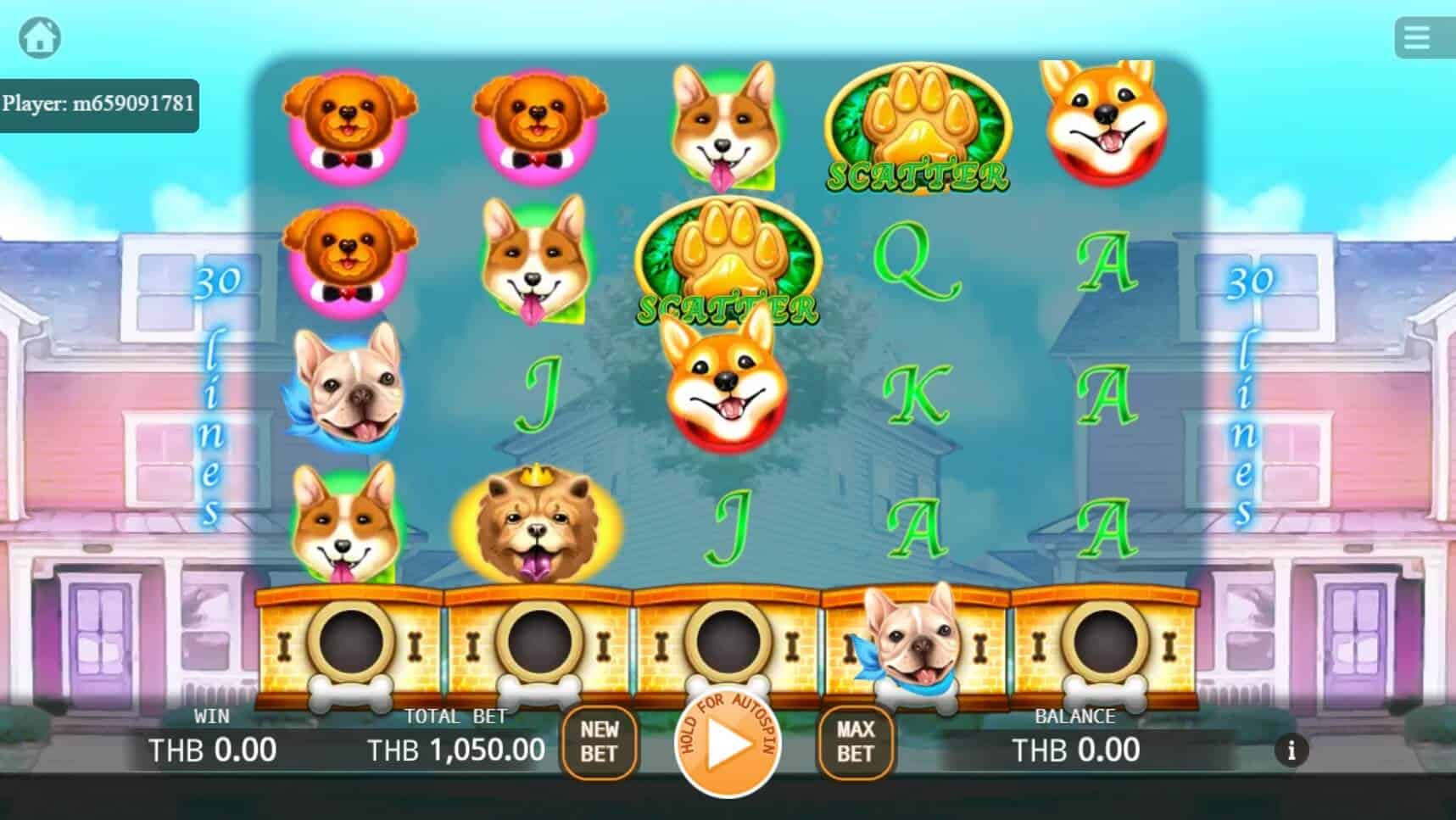 Who Let The Dogs Out KAGaming สล็อตโจ๊กเกอร์