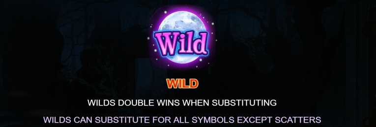 The Witch's Moon Mega Moolah MICROGAMING joker gaming