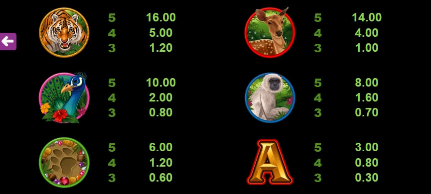 Tiger's Eye MICROGAMING โจ๊กเกอร์ 123