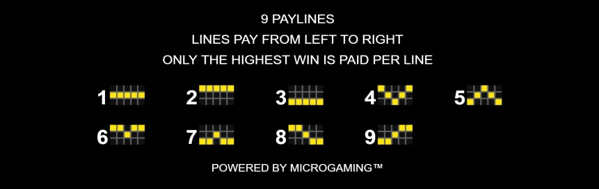 Treasure Palace MICROGAMING โจ๊กเกอร์ 123