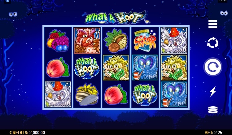 What a Hoot MICROGAMING joker123