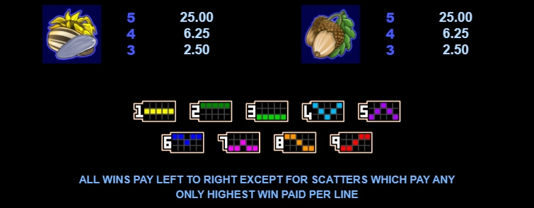 What a Hoot MICROGAMING joker123th
