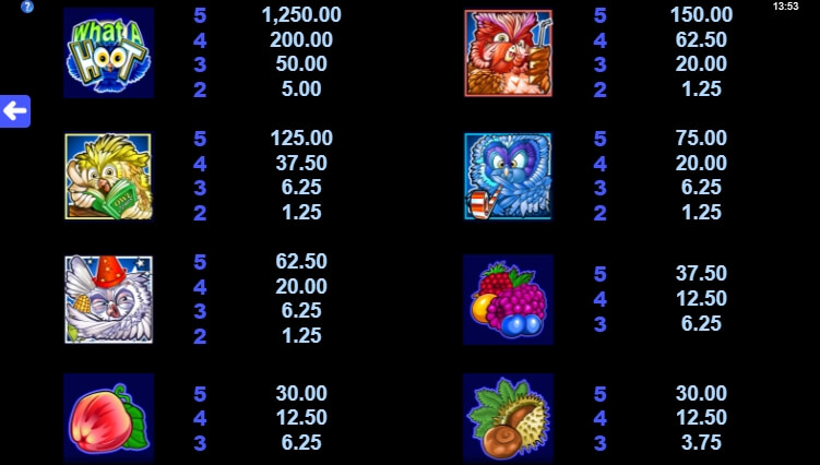 What a Hoot MICROGAMING สล็อต joker