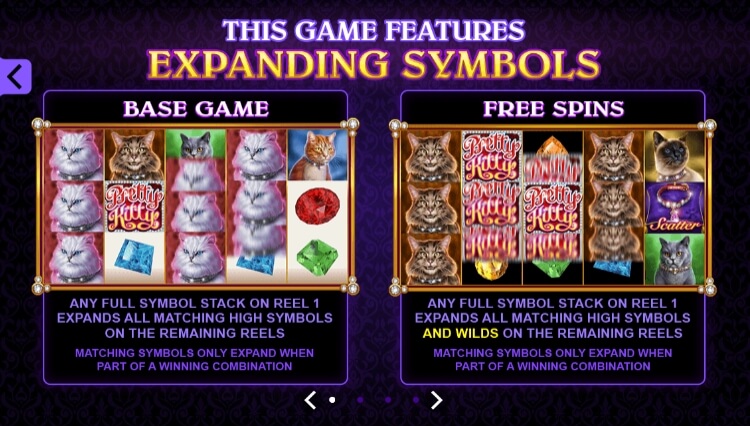 Pretty Kitty MICROGAMING joker gaming