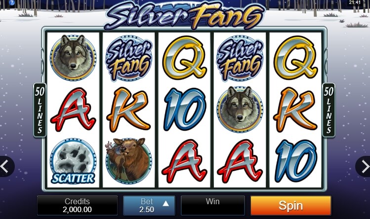 Silver Fang MICROGAMING สล็อตโจ๊กเกอร์