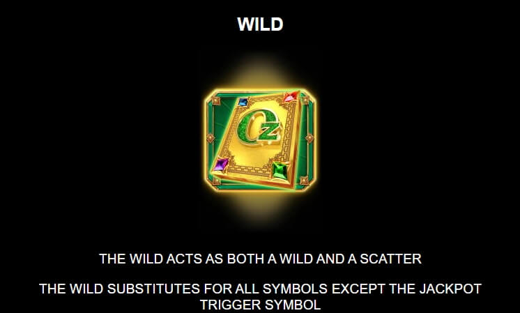 Sisters of Oz Jackpots MICROGAMING joker slot
