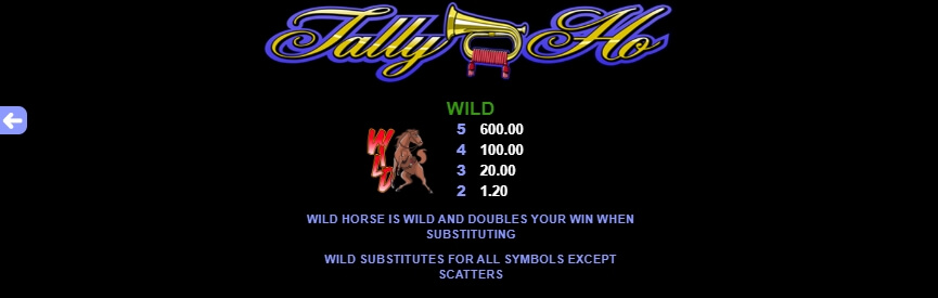 Tally Ho MICROGAMING joker gaming