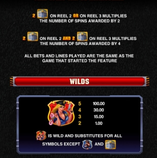 The Heat Is On MICROGAMING สล็อต joker