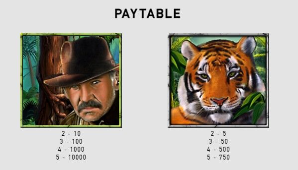 The Jungle 2 MICROGAMING joker slot
