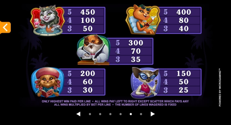 Kitty Cabana MICROGAMING joker สล็อต 888