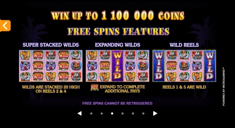 Kitty Cabana MICROGAMING สล็อต joker