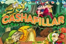 Cashapillar MICROGAMING joker123