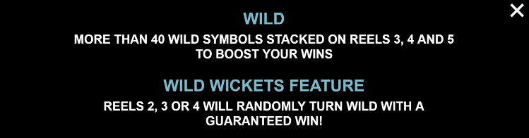 Cricket Star MICROGAMING joker สล็อต 888