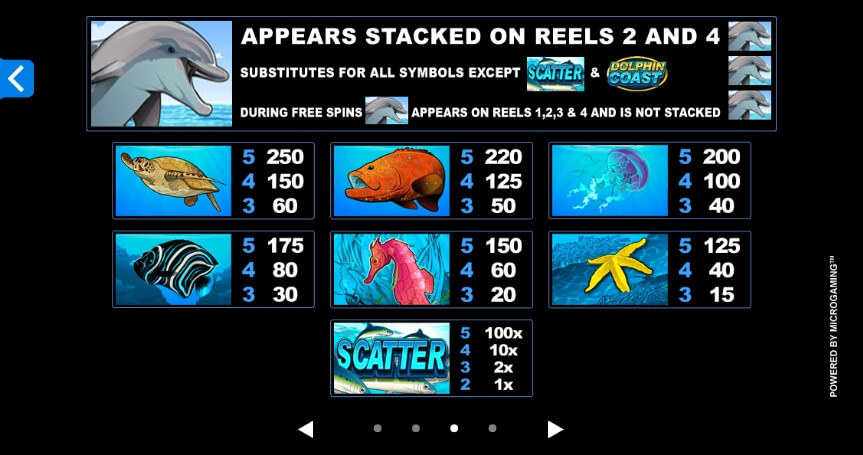 Dolphin Coast MICROGAMING joker123 net