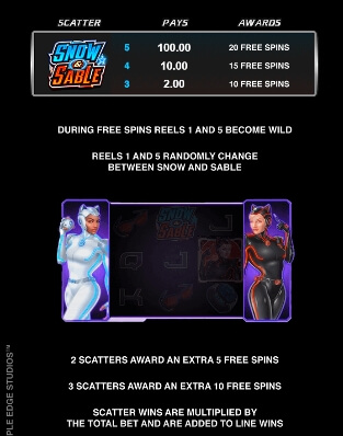 Action Ops Snow & Sable MICROGAMING สล็อต joker