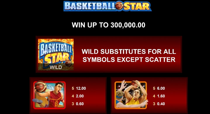 Basketball Star MICROGAMING joker gaming