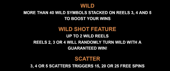Basketball Star MICROGAMING โจ๊กเกอร์ 123