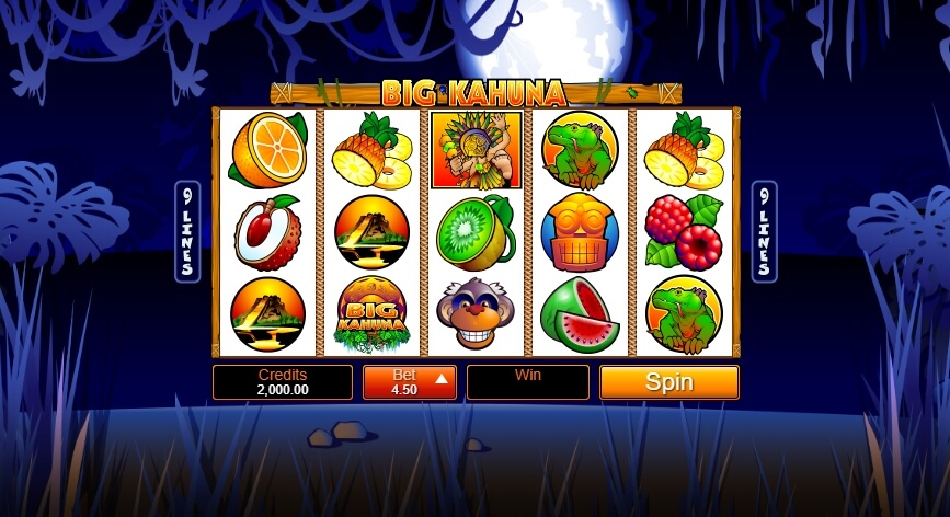 Big Kahuna MICROGAMING joker slot