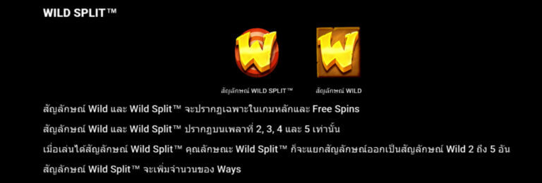 Robin Hood Heroes Microgaming สล็อต joker