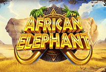 African Elephant Pramatic Play joker123