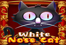 White Nose Cat KA-Gaming joker123